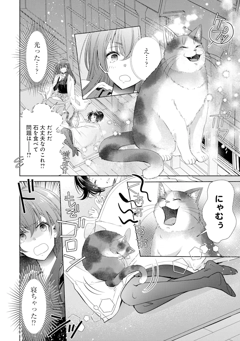 Monster ga Afureru Sekai ni Natta kedo, Tayoreru Neko ga Iru kara Daijoubu desu - Chapter 2.5 - Page 6